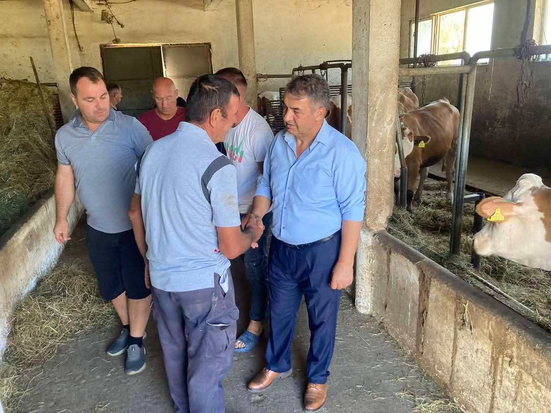Shpërndahen 5 krerë gjedhe për fermerët e Komunës së Gjilanit